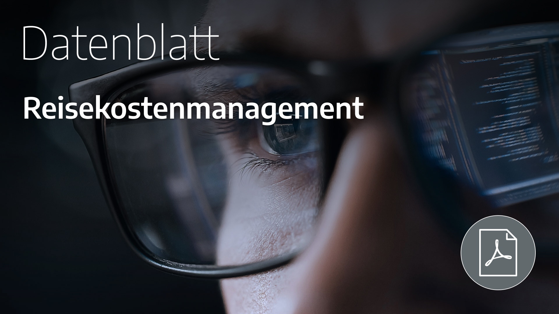 Datenblatt Reisekostenmanagement