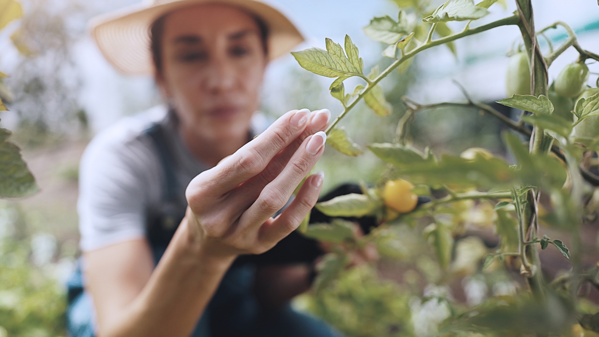 gi-kl-2203348337-1920x1080