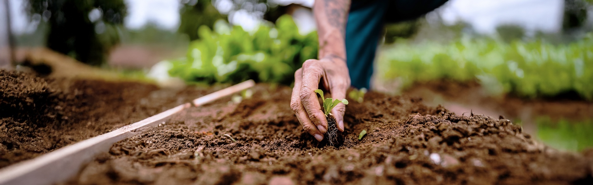 gi-kl-2160078318-1920x600